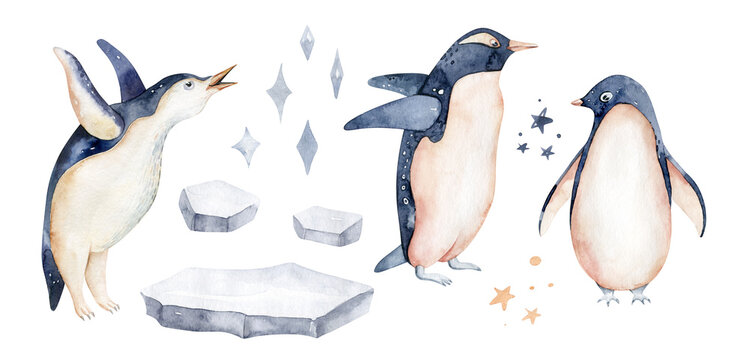 polar arctic animals watercolor collection. snowy owl. reindeer. polar bear. fox. penguin, walrus. seal. hare. whale
