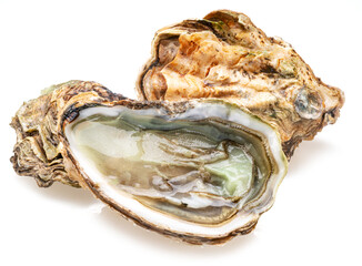 Opened and closed raw oysters isolated on white background. © Екатерина Иванова