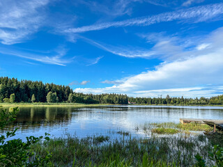 Pond and forest under amazing blue sky in summer landscape