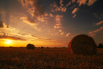 Summer sunset photo with round haystack wheat bales landscape. Amazing agriculture sunset image...