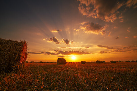 Summer sunset photo with round haystack wheat bales landscape. Amazing agriculture sunset image with spectacular sky. Nature and agriculture.