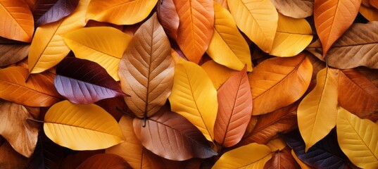 Orange autumn leaves nature background. Generative AI technology.