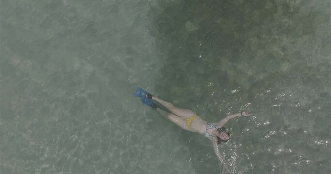 Chica buceando nadando en la playa mar ( log footage ) 