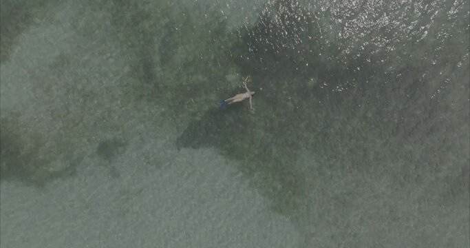 Chica buceando nadando en la playa mar ( log footage ) 