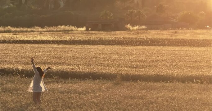 Chica andando por atardecer por el campo de trigo