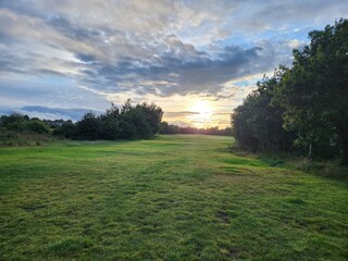 sunset in the field
