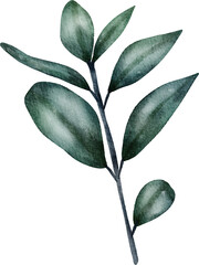 Green Leaf Watercolor illustration