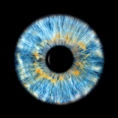 IRIS EWP