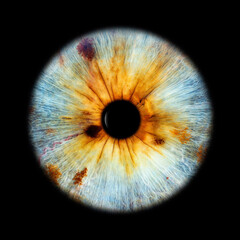 IRIS EWP