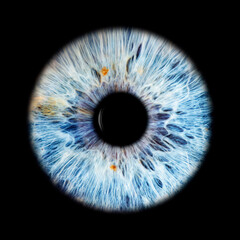 IRIS EWP