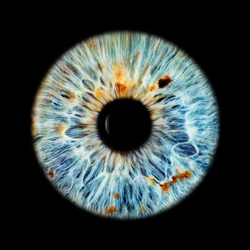 IRIS EWP