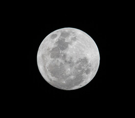 Sturgeon Large white moon over the Sydney skies Thursday 1 August 2023 NSW Australia 