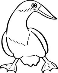 hand drawn bird illustration.