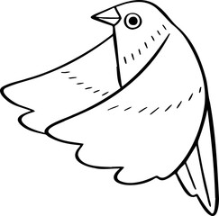 hand drawn bird illustration.