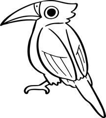 hand drawn bird illustration.