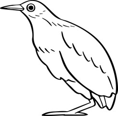 hand drawn bird illustration.
