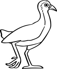 hand drawn bird illustration.