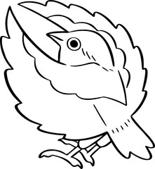hand drawn bird illustration.