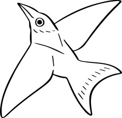 hand drawn bird illustration.