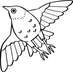 hand drawn bird illustration.