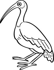 hand drawn bird illustration.