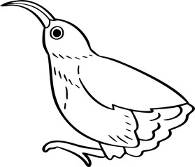 hand drawn bird illustration.