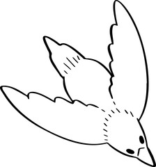 hand drawn bird illustration.