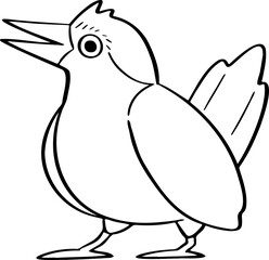 hand drawn bird illustration.