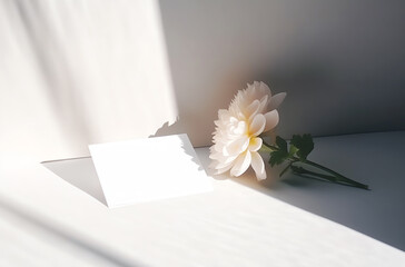 Blank wedding invitation card mock up with natural flower for decorated on white background, minimal design