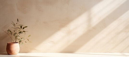 Minimal cream wall interior background with plant decoration. Shiny window light and shadow. Generative AI technology.