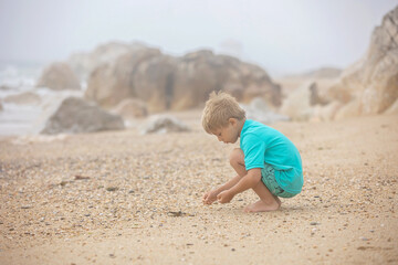 Beautiful blond child, boy, gathering shells on the beach in Portugal on a cloudy foggy day