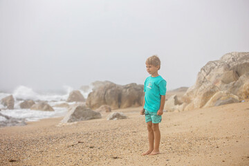 Beautiful blond child, boy, gathering shells on the beach in Portugal on a cloudy foggy day