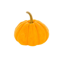 Small pumpkin isolated on  transparent png