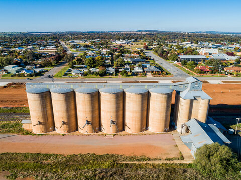 Sunlit grain silos with backdrop of rural town houses of Coolamon