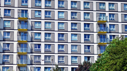 Eco architecture. Green tree and apartment building. The harmony of nature and modernity.