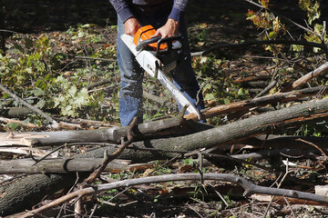 Image of an orange chain saw in the hands of a lumberjack,sawn trees,logs.