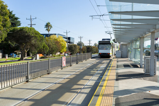 Public transport tram leaving platform of station in Vermont South Melbourne suburb