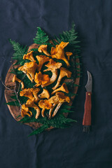 wild mushrooms on table. Tasty edible chanterelles on wooden plate with ferns