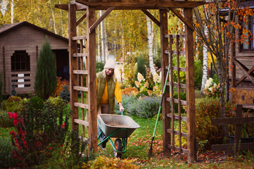 seasonal autumn garden work. Woman gardener at wooden pergola with wheelbarrow. Natural country living - obrazy, fototapety, plakaty