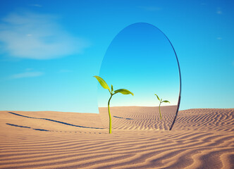 Small plant in the desert in front of a mirror. Start up and confidence concept .