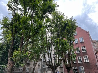 Гданьск. Польша