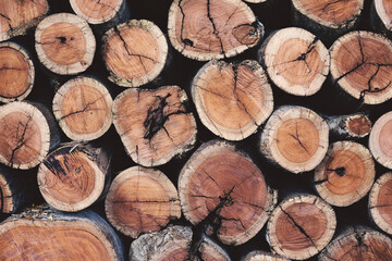 Cut wood logs, stacked on top of each other.