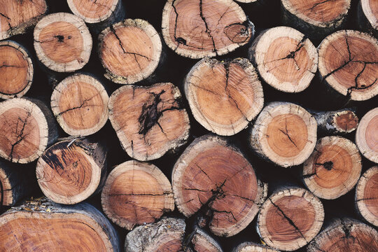 Cut wood logs, stacked on top of each other. - Powered by Adobe