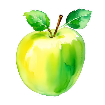 Watercolor green apple isolated on transparent background. Ai generate.