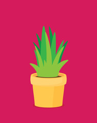 Phases plant growing. Vector illustration in flat style