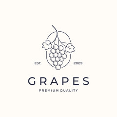 grape nutrition fruit line art logo vector minimalist illustration design, grapes fresh symbol design