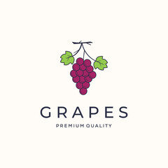 grape health nutrition vintage logo vector minimalist illustration design, fresh grapes fruit logo design