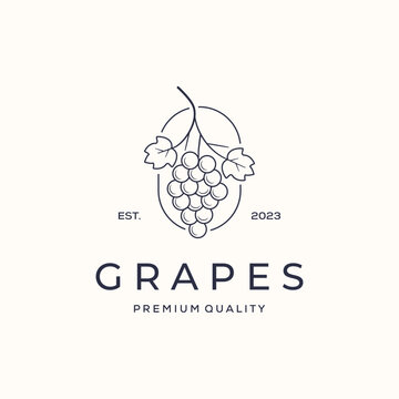 grape nutrition fruit line art logo vector minimalist illustration design, grapes fresh symbol design