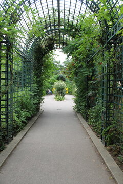 Coul&eacute;e verte Ren&eacute;-Dumont