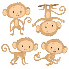 Four cute baby monkeys playing